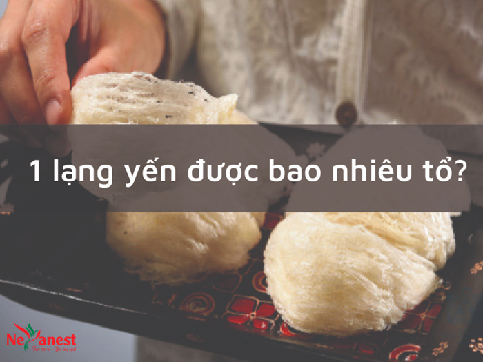 giá tổ yến nguyên chất